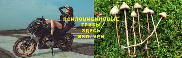СК Кулебаки