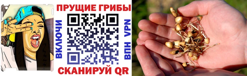 Галлюциногенные грибы MAGIC MUSHROOMS  купить   Мышкин 